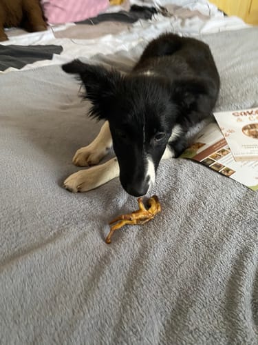 Customer photo review of Patte de poulet