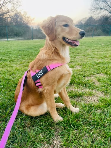 Customer photo review of Signature Kit