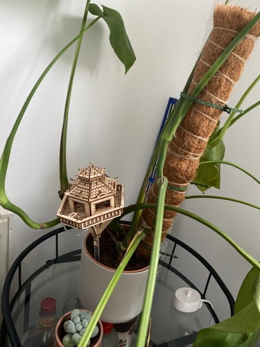 Customer photo review of Woodland Outpost