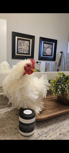 Customer photo review of Goat Milk Body Butter