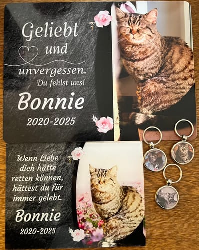 Customer photo review of Katzen Gedenktafel mit Foto & Spruch (UV- & Wetterfest)