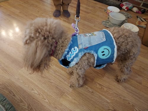 Customer photo review of Cruising Summer Harness