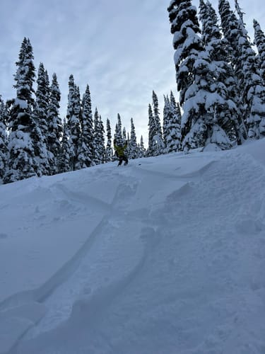 Customer photo review of Pinot Noir '45 + 47'