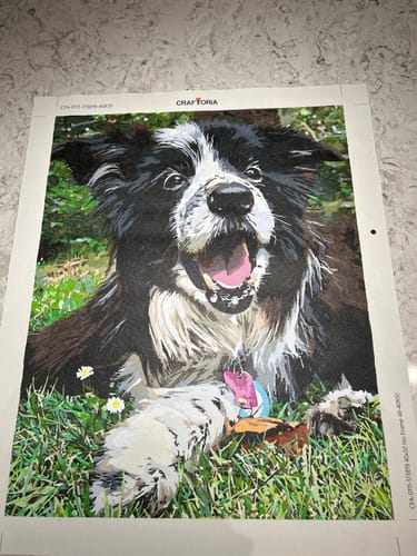 Customer photo review of Custom Paint By Numbers Kit