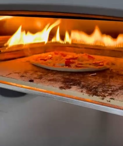 Customer photo review of Sourdough Pizza Dough Balls