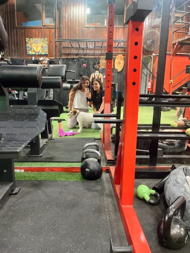 Customer photo review of Calza Deportiva Animal Print Active