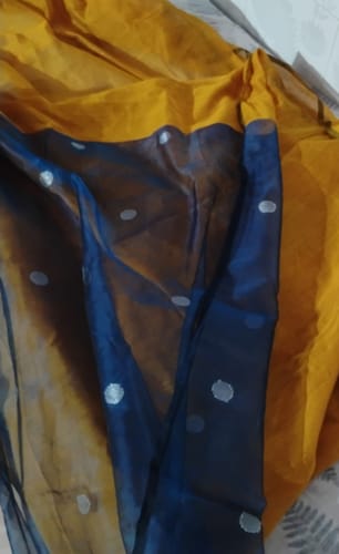 Customer photo review of Maharani Mumtaz (handloom muslin silk)