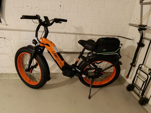 Customer photo review of Lankeleisi MG600 Plus 1000W 26" Fat Bike All Terrain SUV E-Bike with Torque Sensor 48V 20Ah Samsung Battery