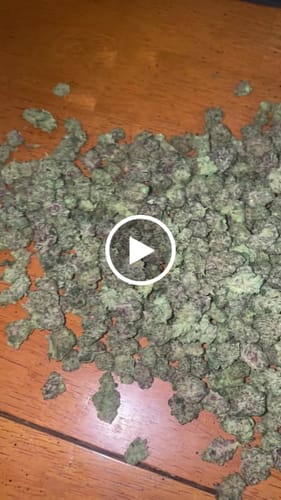 Customer video review of Ice Cream Cake - Indoor THCA (Smalls)