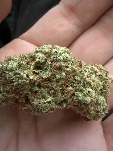 Customer photo review of Mango Haze