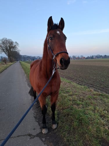 Customer photo review of Kristallkraft No2