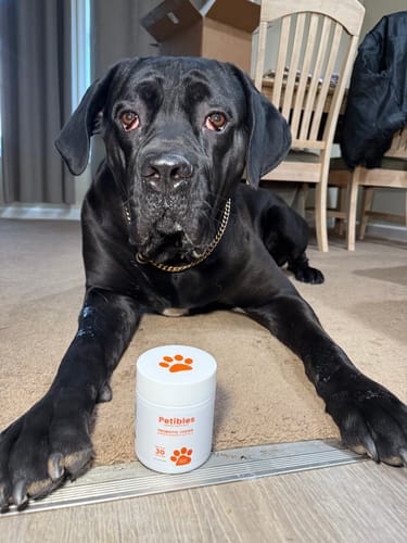 Customer photo review of Probiotic Chews