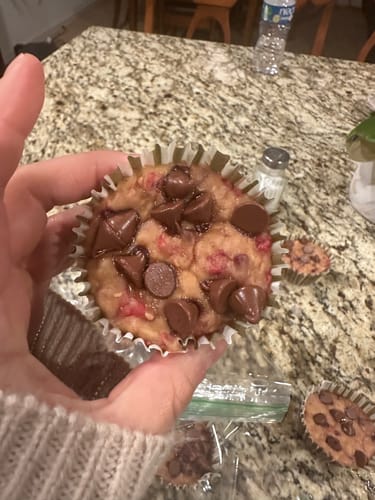 Customer photo review of Protagonist Cookbook 2.0