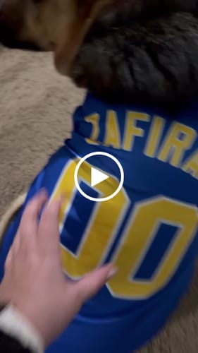 Customer video review of Custom Royal Gold-White Classic Style Dog Jersey
