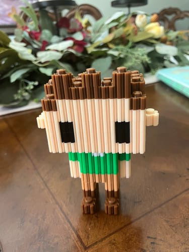 Customer photo review of Pix Brix Wild Kratts Chris Rhinoceros Creature Powers Kit