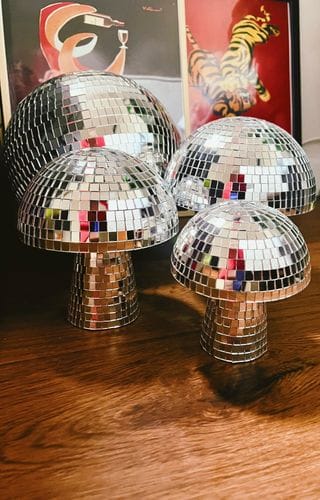 Customer photo review of Mushroom Disco Lamp