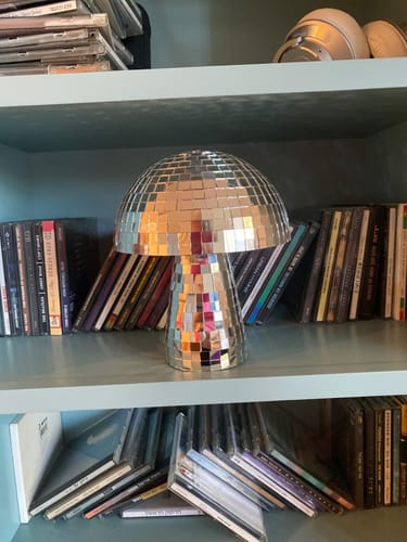 Customer photo review of Mushroom Disco Lamp