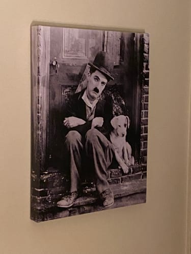 Customer photo review of Charlie Chaplin With Dog In A Dog's Life