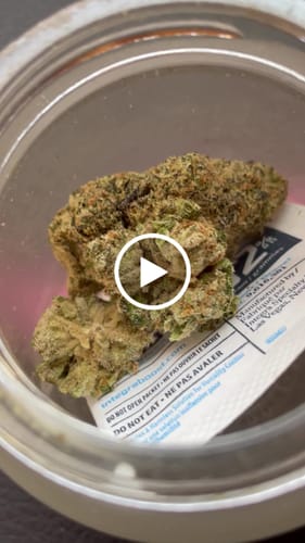 Customer video review of Exotic Smalls