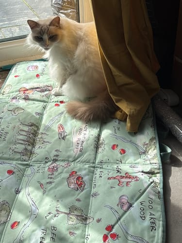 Anya review of Shipping Protection image 1 out of 1