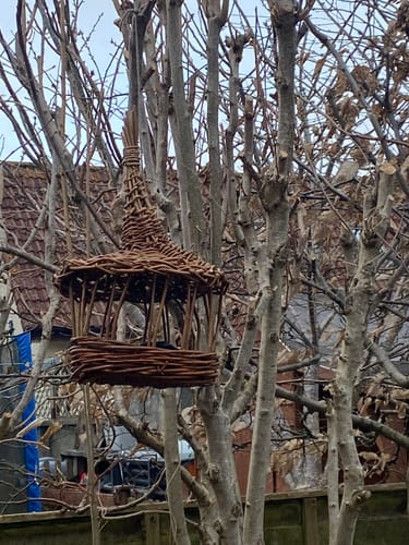 Customer photo review of The Bird Feeder - Online Course and Kit