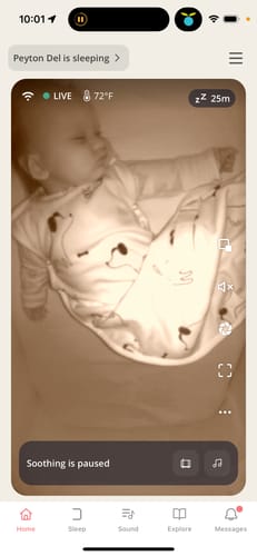 Customer photo review of 4 Season® Ultimate Baby Sleep Bag, Merino Wool & Organic Cotton, Puppy
