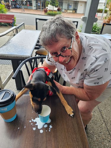 Customer photo review of Dog Lovers Pack - Red