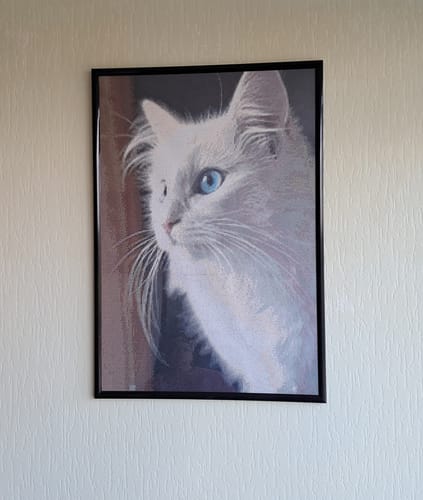 Customer photo review of Animals PIX-2384