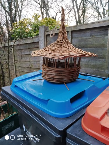 Customer photo review of The Bird Feeder - Online Course and Kit