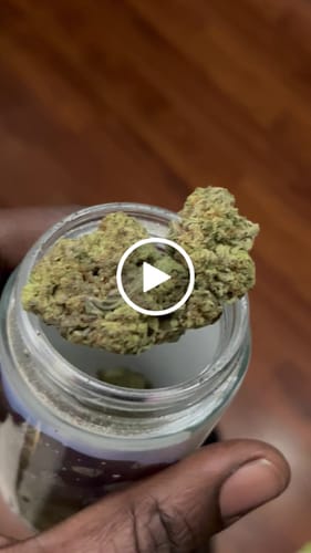 Customer video review of Royal Dank Exotic THCA