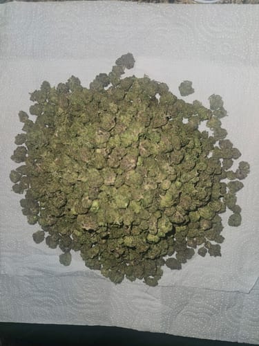 Customer photo review of Bulk THCA Smalls
