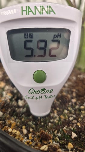 Customer photo review of Hanna HI981030 GroLine pH Soil Tester