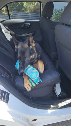 Customer photo review of Car Seat Cover