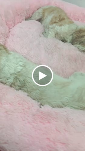 Customer video review of Cama Antiestrés para Perros