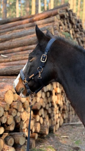 Customer photo review of Kristallkraft No2