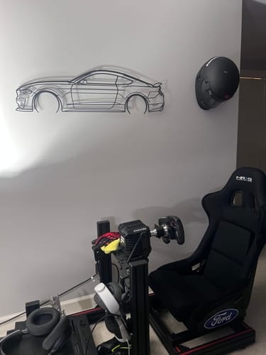 Customer photo review of Mustang GT S550 Detailed Silhouette Metal Wall Art
