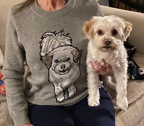 Customer photo review of Plain Dog - Custom Knitted Sweater