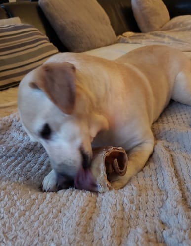 Customer photo review of Oreille de Porc