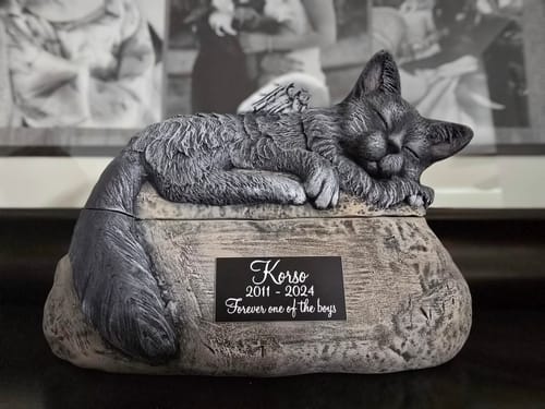 Customer photo review of Long Haired Custom Painted Ceramic Cat Urn