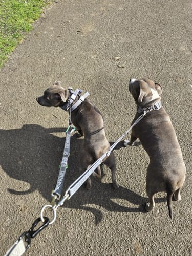 Customer photo review of Lead-All Lite