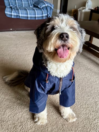 Customer photo review of Nylon Rainbreaker