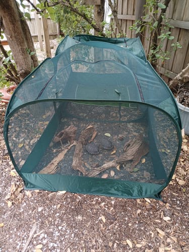 Customer photo review of PUC2000