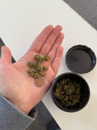 Customer photo review of Premium // Small Buds- 15 Gramm