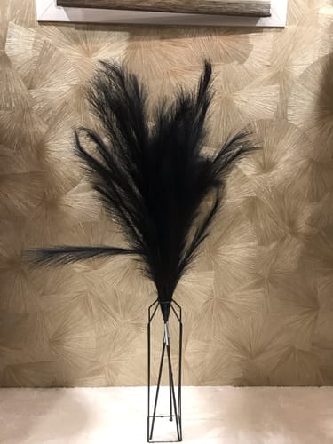 Customer photo review of Pampas 110cm (3 tiges)- Noir
