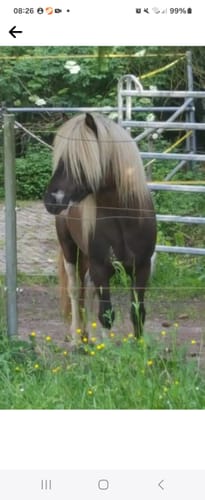 Customer photo review of Kristallkraft No1