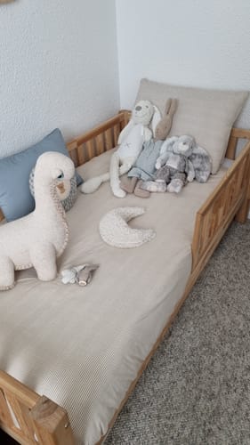 Customer photo review of The Dinosaur