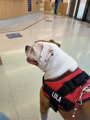 Customer photo review of Custom Name Patches