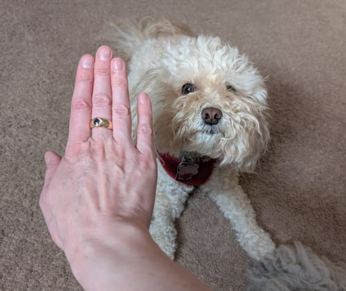 Customer photo review of Custom Thick Mini Eye Ring