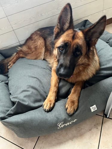 Customer photo review of Divanetto Mattias Antracite (Soft Touch)