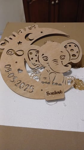 Customer photo review of Lampada a forma di animale Elefante, Decoro per la cameretta, Luce Led a batteria